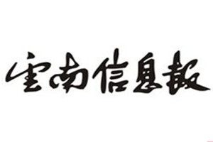 云南信息報(bào)登報(bào)掛失_云南信息報(bào)遺失登報(bào)、登報(bào)聲明