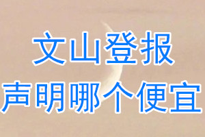 文山登報(bào)聲明哪個(gè)便宜
