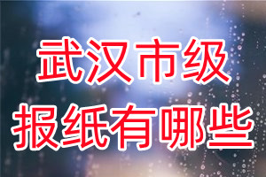 武漢市級報(bào)紙有哪些