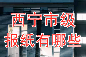 西寧市級報紙有哪些？