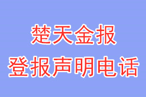 楚天金報登報電話_楚天金報登報聲明電話